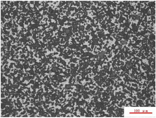 Boron carbide nuclear neutron absorbing material and preparation method