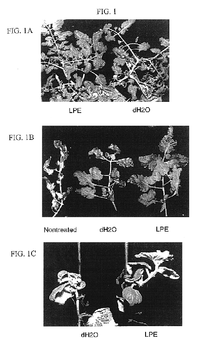 Methods for enhancing plant health, protecting plants from biotic and abiotic stress related injuries and enhancing the recovery of plants injured as a result of such stresses