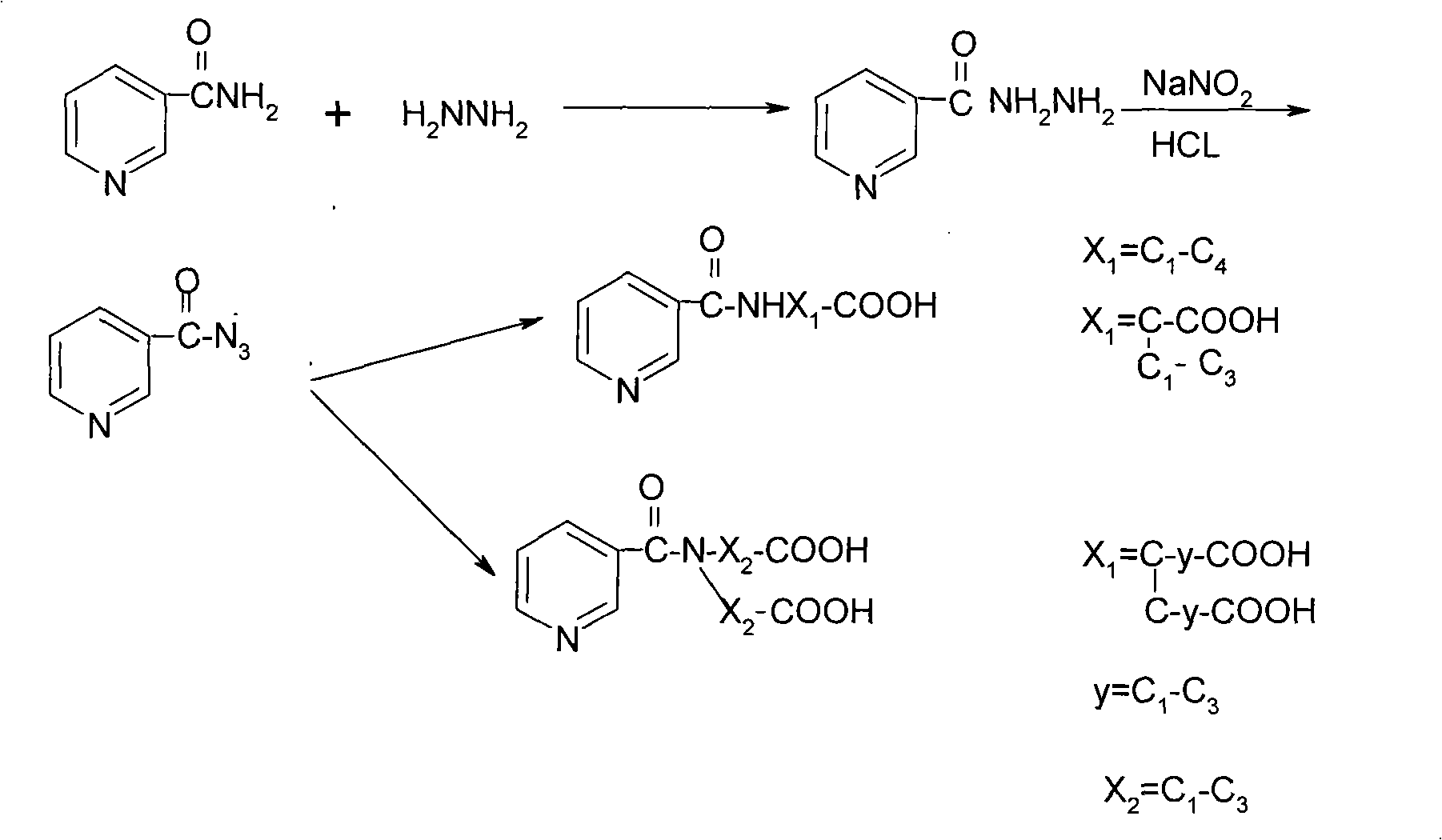 Method for synthesizing nicotinyl amino acids and sensitizing effect thereof to tumor radiotherapy