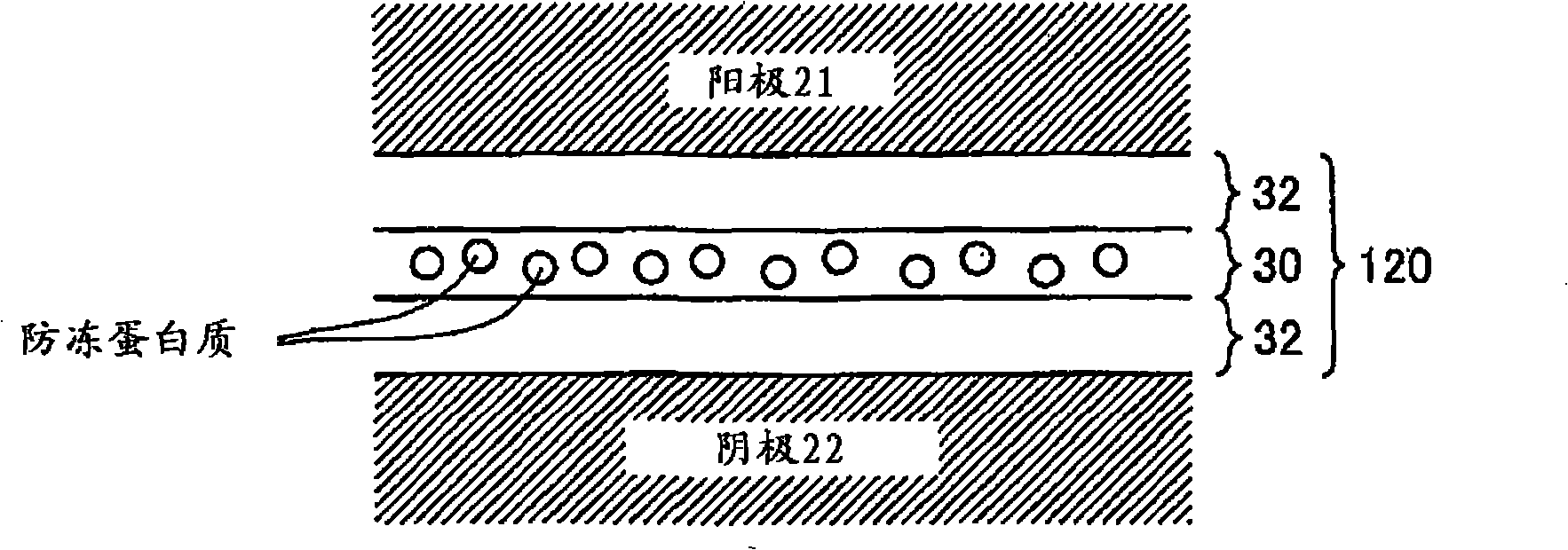 Fuel cell and electrolyte layer for fuel cell