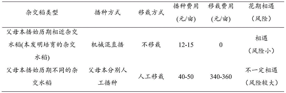 Hybrid rice breeding method using parents with close duration from seeding to heading