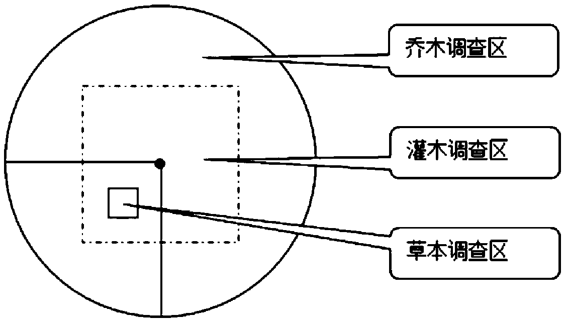 Biomass modeling method for man-made forest