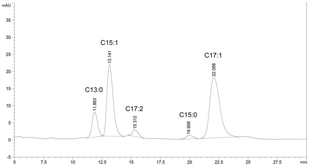 Application of Celtis sinensis Pers. and extract thereof in gingko-related products