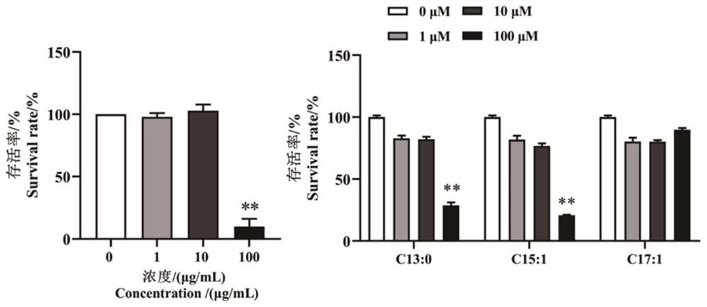 Application of Celtis sinensis Pers. and extract thereof in gingko-related products