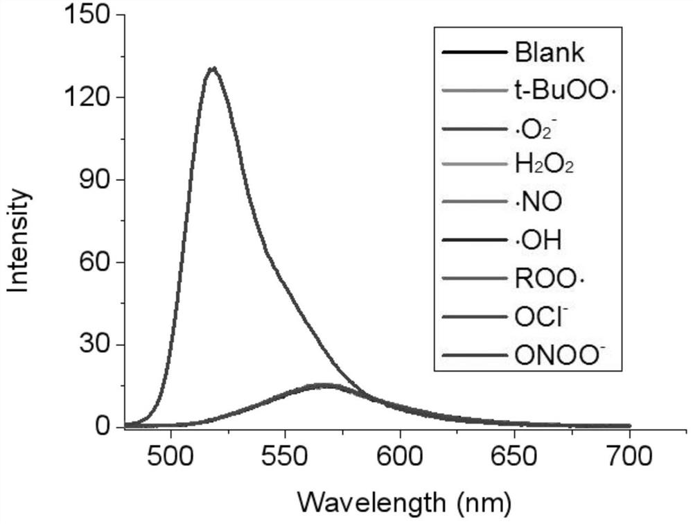 Peroxynitrite fluorescent probe, preparation method and application thereof