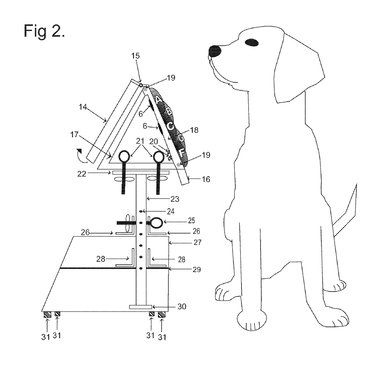 Functional communication lexigram device and training method for animal and human