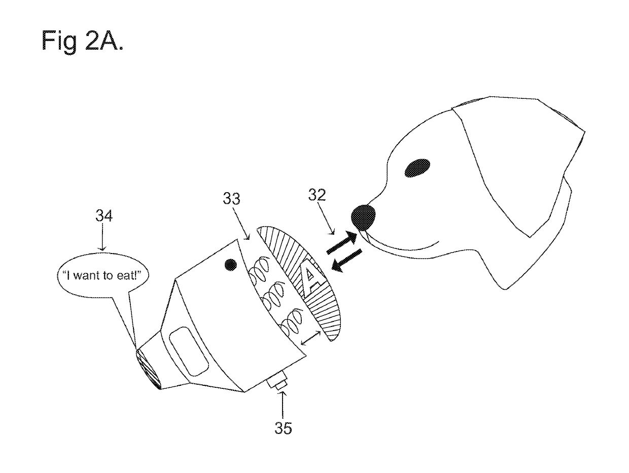 Functional communication lexigram device and training method for animal and human