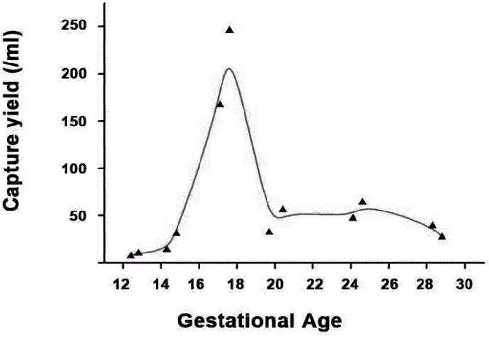 Method for noninvasive antenatal diagnosis through separating fetal nucleated red blood cells from peripheral circulating blood of pregnant woman