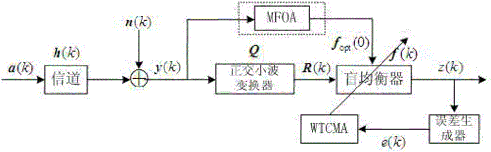 Multi-drosophila swarm cooperative optimization wavelet norm blind equalization method