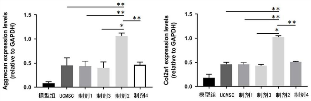 Application of umbilical cord stem cell preparation in preparation of medicine for treating osteoarthritis