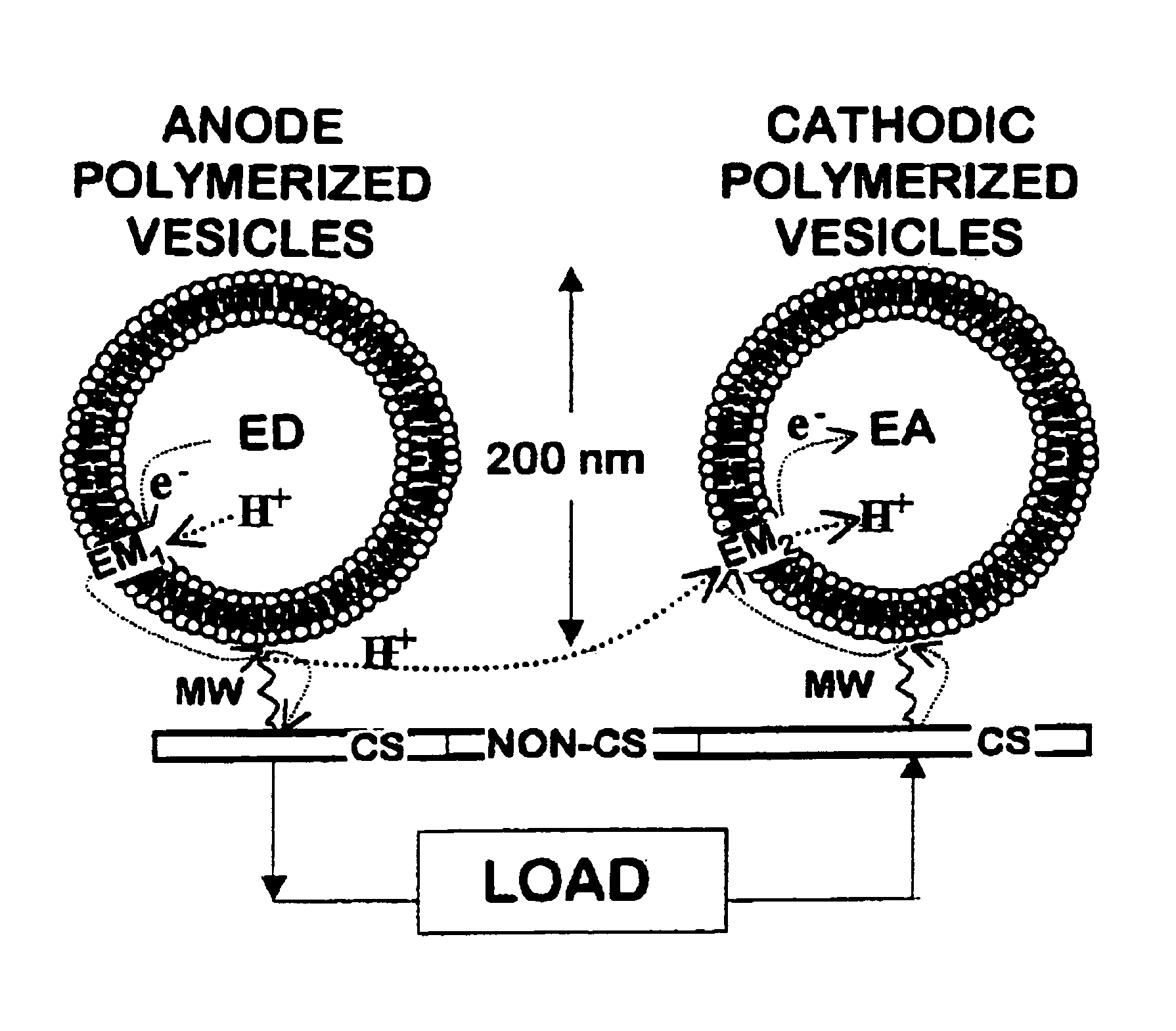 Biobased microbattery