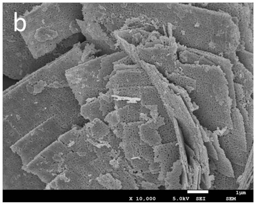 A porous nano nife  <sub>2</sub> o  <sub>4</sub> And its preparation method and application