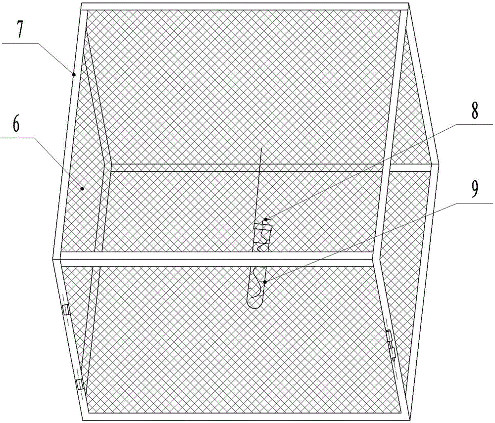 Method and device for indoor breeding of phauda flammans walker