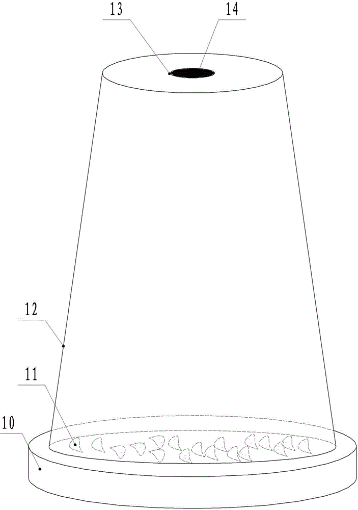 Method and device for indoor breeding of phauda flammans walker