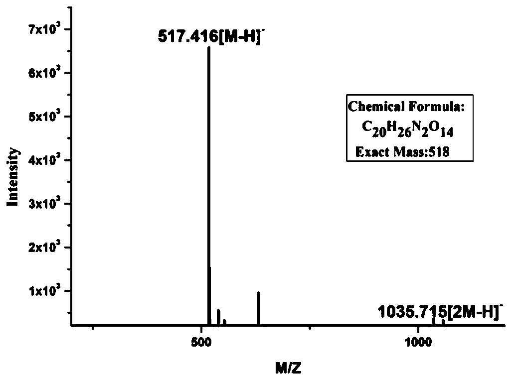 Heparin skeleton synthase and encoding gene and application thereof