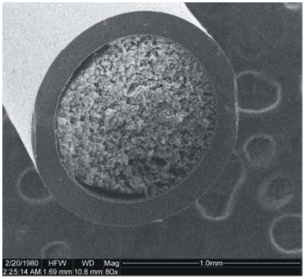 A kind of preparation method and application of hydrophilic methacrylamide polymer monolithic column