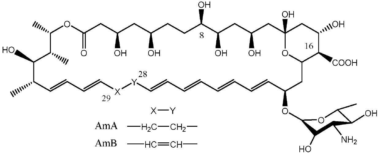 A kind of recombinant Streptomyces tuberculosis producing amphotericin B and its application