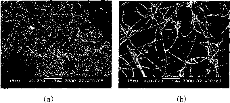 Method for manufacturing gallium nitride nano-wire with tungsten auxiliary heat anneal