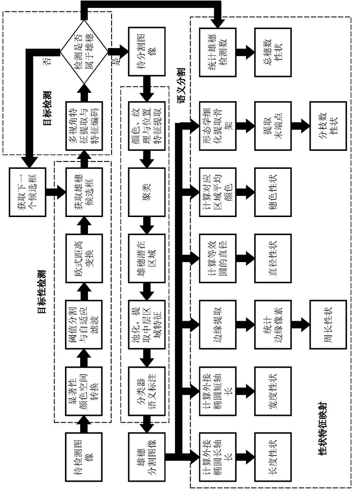 Automatic detection method of corn tassel traits