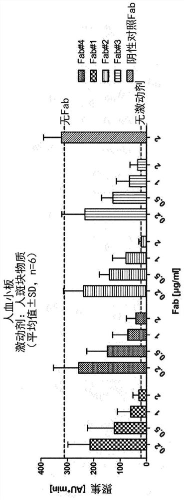 Antibodies targeting glycoprotein vi