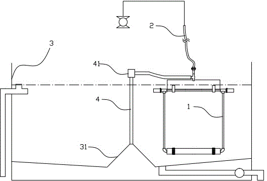 High-density hatch bucket for cephalopods