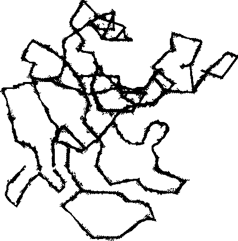 Angiogenin mutant as agonist, and its preparing method