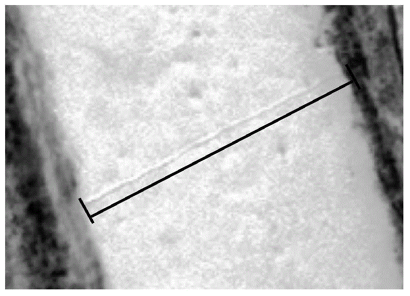 Remote sensing recognition method for snow disturbance traces based on Gaussian differential model