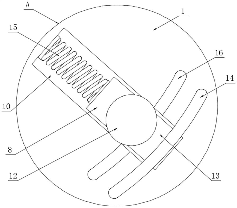 Transcranial ultrasonic electro-therapeutic apparatus