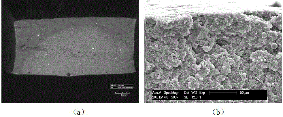 Comprehensive judgment method for performance irradiation ageing damage of elastomer for nuclear power