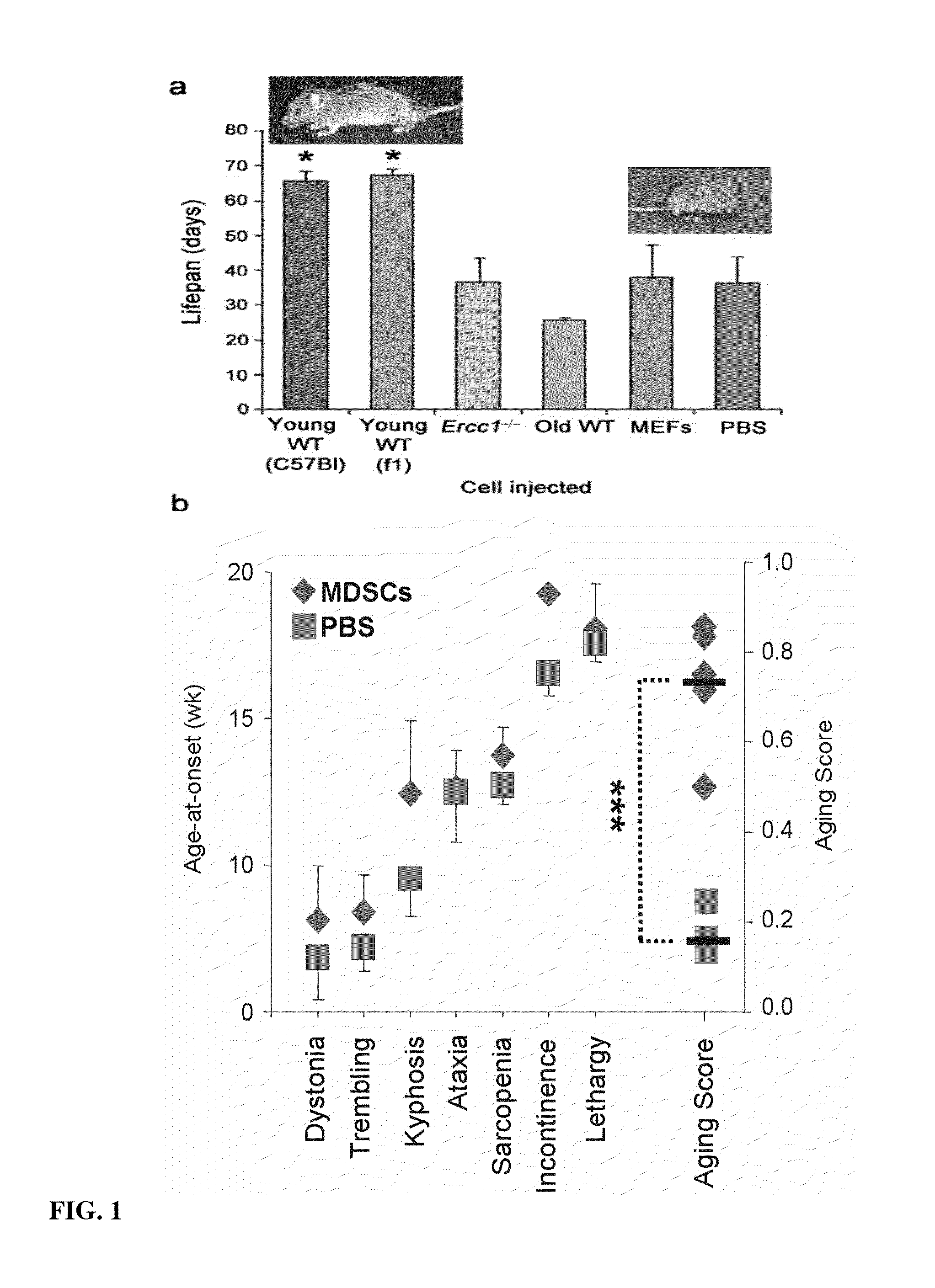 Compositions and Methods for Restoring or Rejuvenating Stem/Progenitor Cell Function