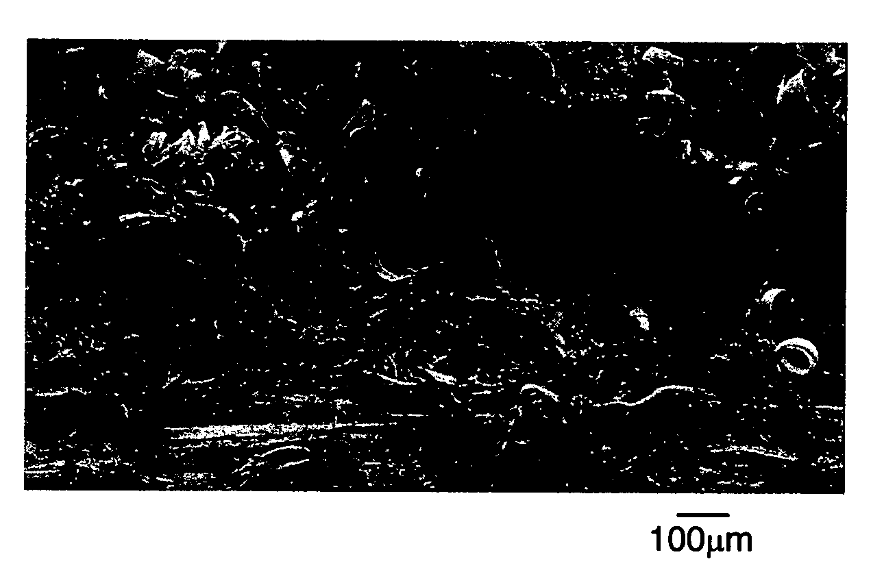 Composite articles reinforced with highly oriented microfibers