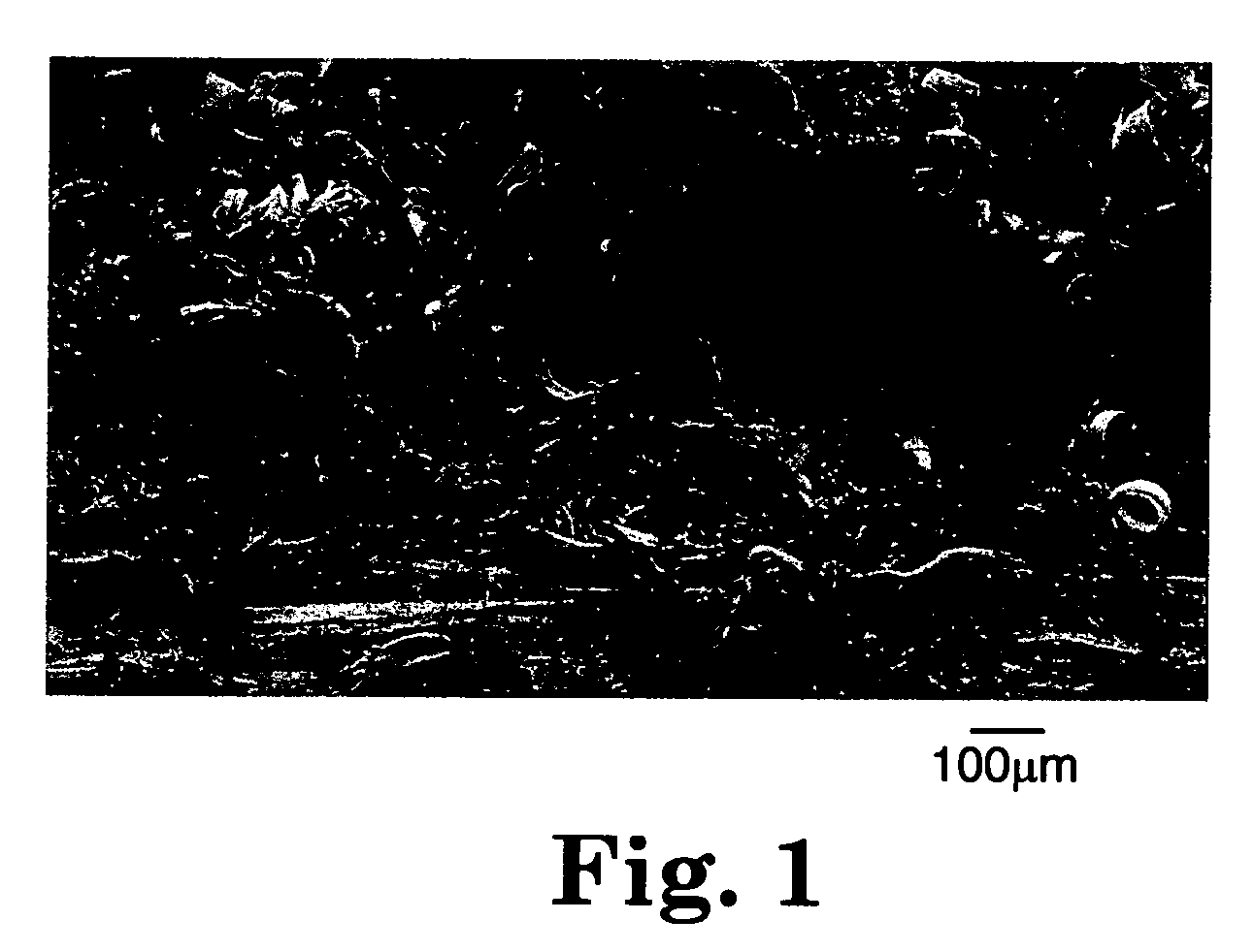 Composite articles reinforced with highly oriented microfibers