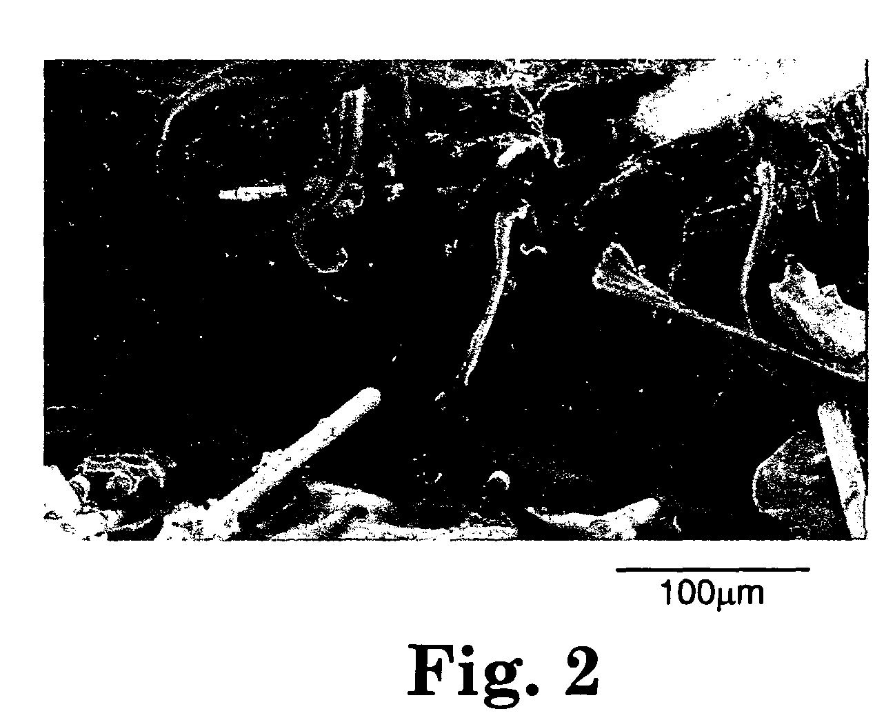 Composite articles reinforced with highly oriented microfibers