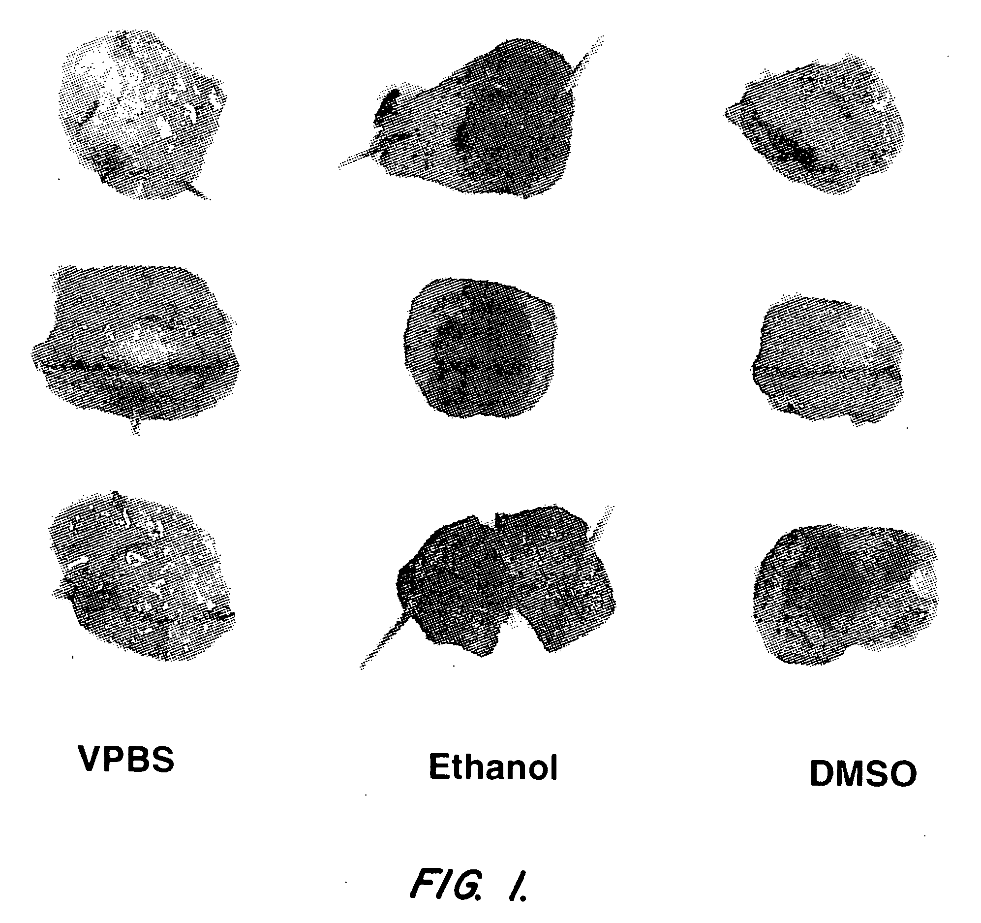 Compositions and methods for therapeutic use