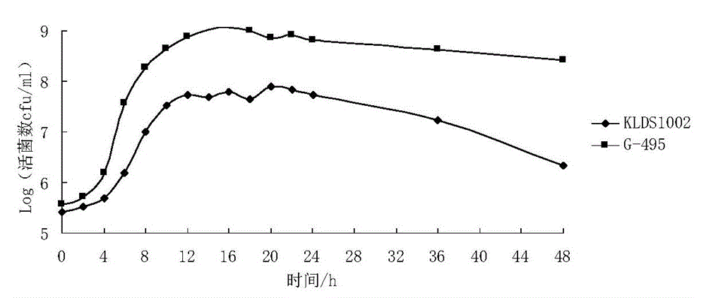 Lactobacillus delbrueckii subsp. bulgaricus strain with low beta-galactase activity and application thereof