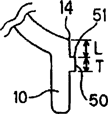 Reflector and light source apparatus having reflector