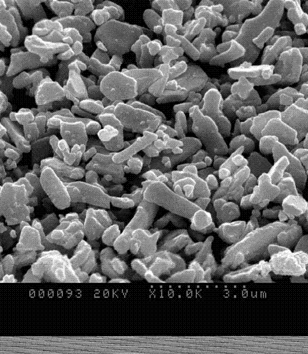 High-activity phosphor-doped bismuth vanadate photocatalyst, preparation method and applications thereof