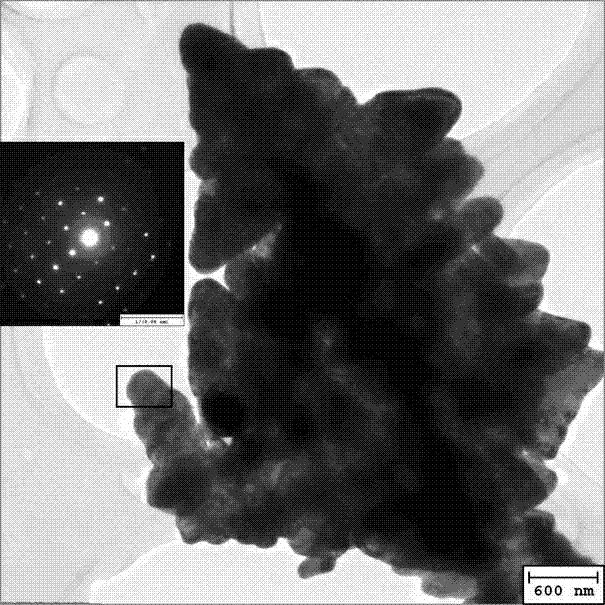 High-activity phosphor-doped bismuth vanadate photocatalyst, preparation method and applications thereof