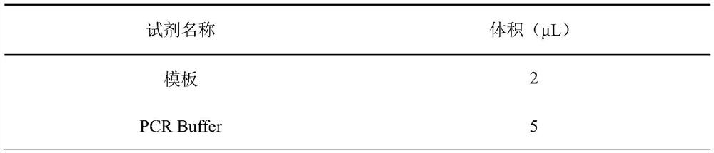 Mutant chitosanase with high temperature stability