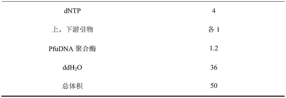 Mutant chitosanase with high temperature stability