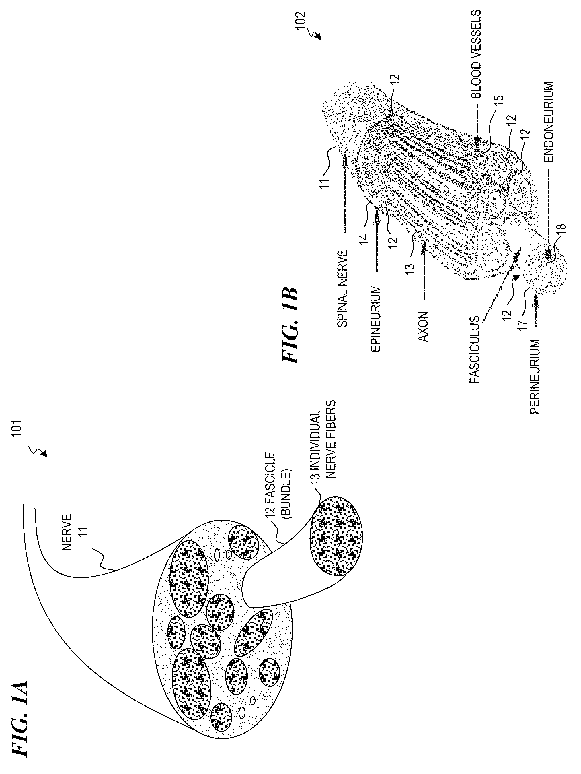 Cuff apparatus and method for optical and/or electrical nerve stimulation of peripheral nerves