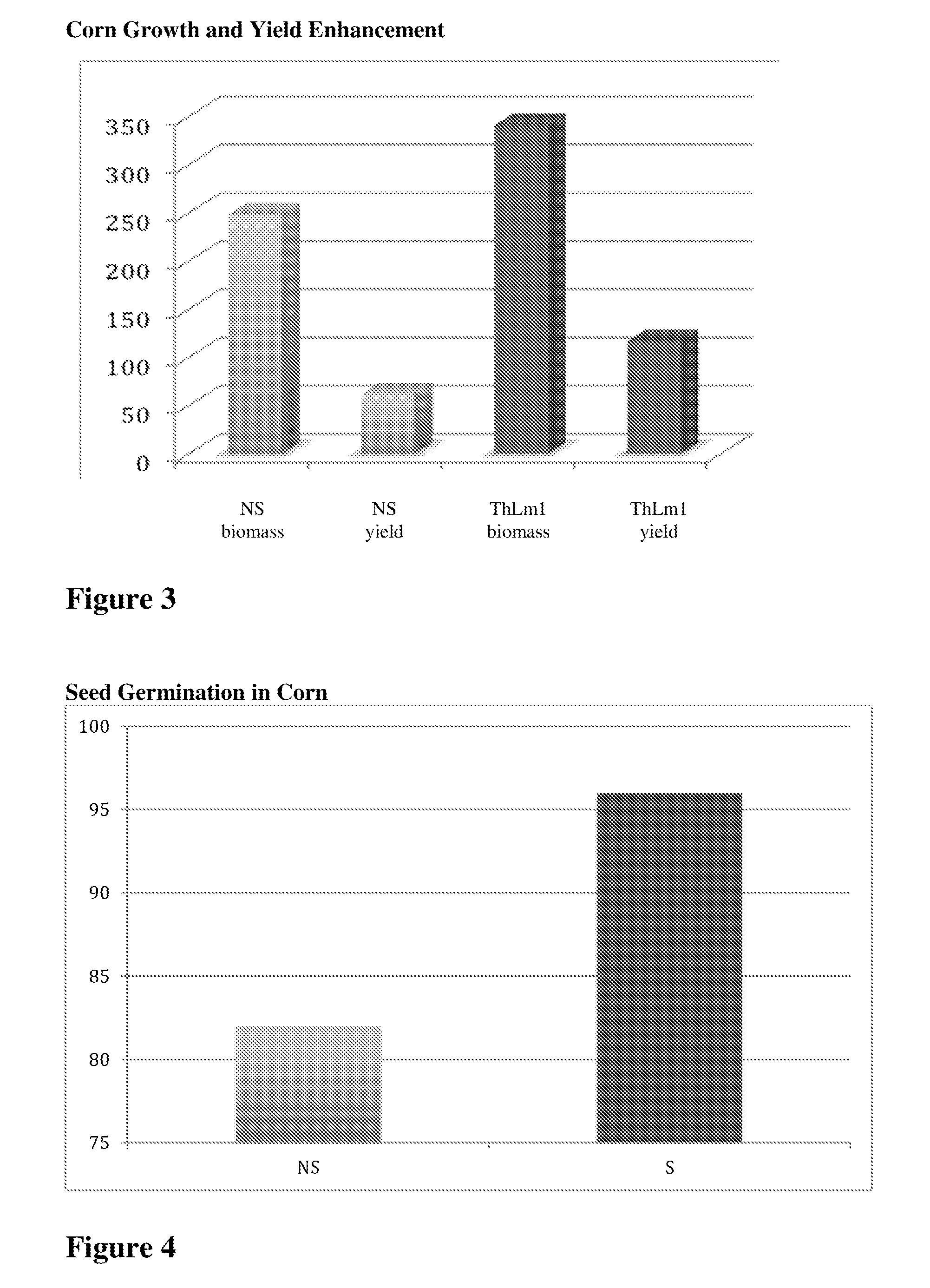 Compositions and methods related to isolated endophytes