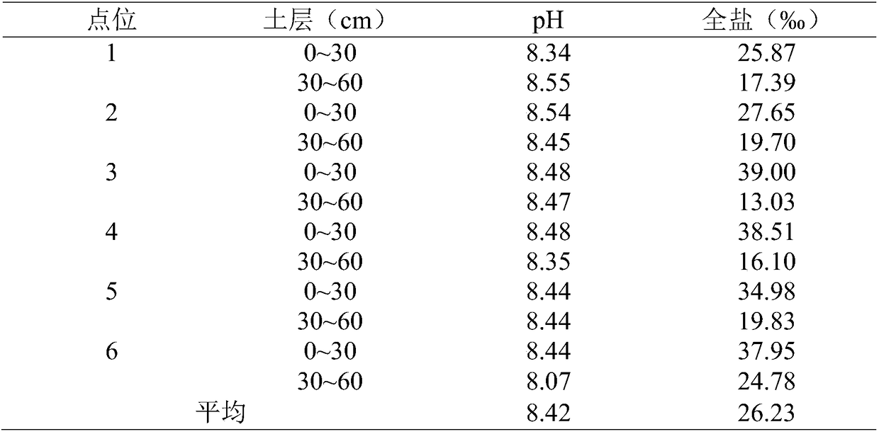 Greening dust suppression method for bare severe saline-alkaline soil