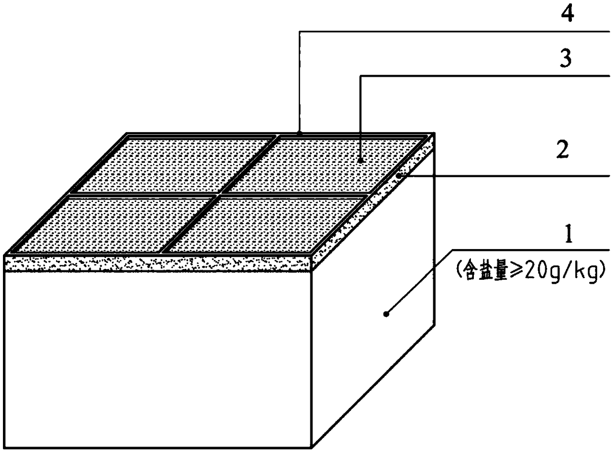 Greening dust suppression method for bare severe saline-alkaline soil