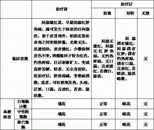 Preparation method of traditional Chinese medicine lotion for treating redness-swelling type cellulitis