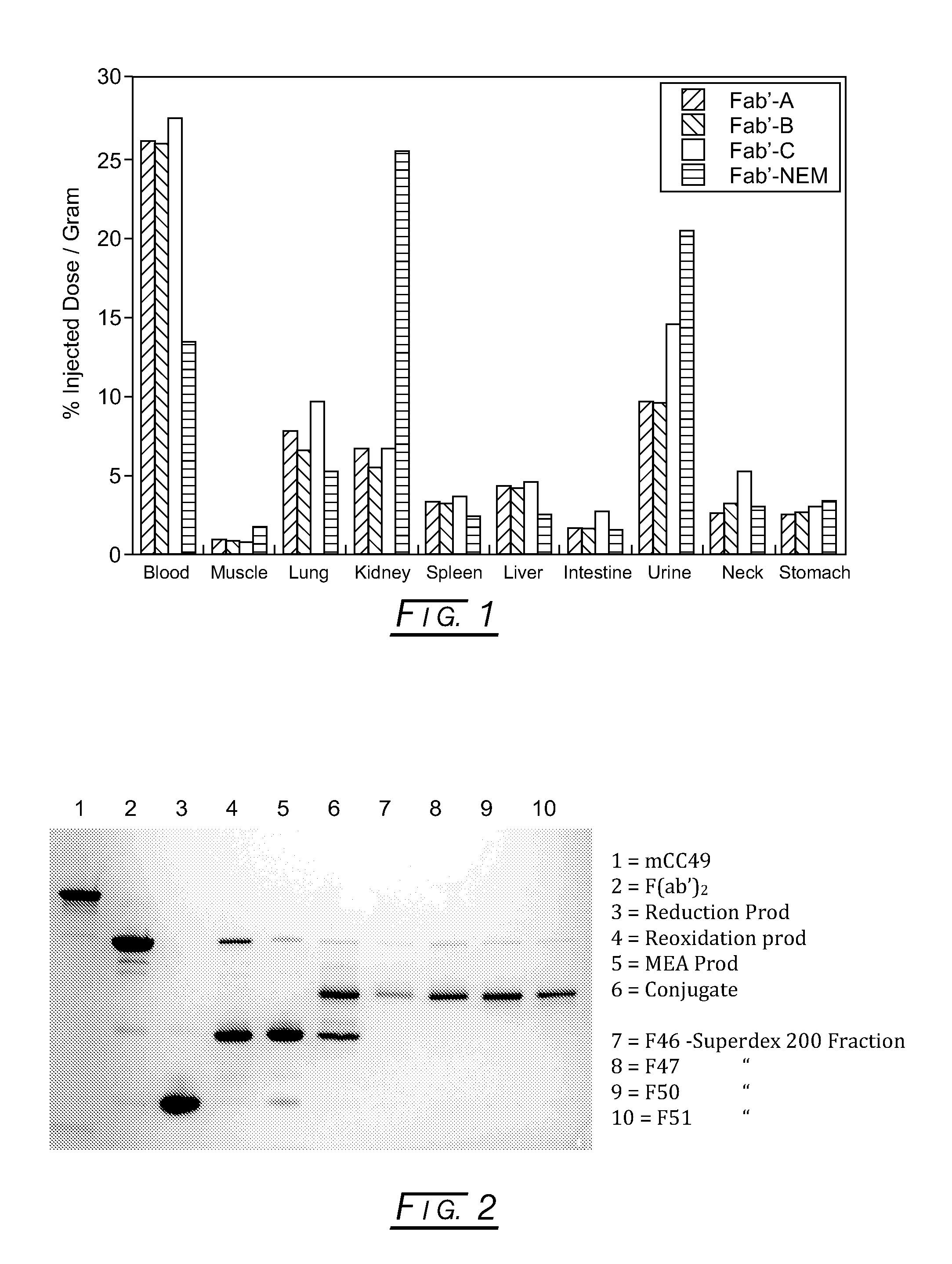 Branched Discreet PEG Constructs