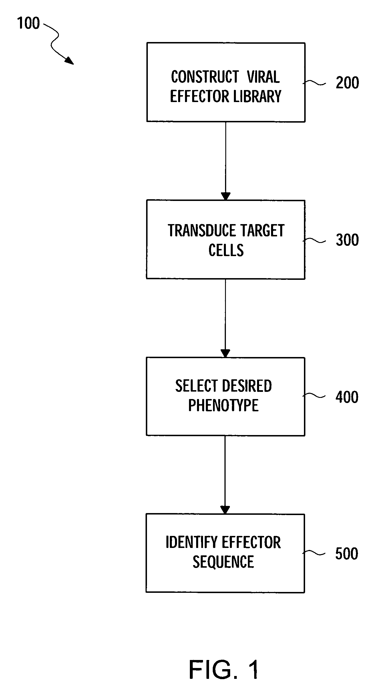 Methods for gene function analysis