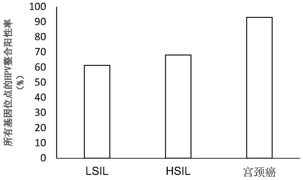 Application of integrated high-frequency gene loci of high and medium risk type HPV related to cervical cancer generation