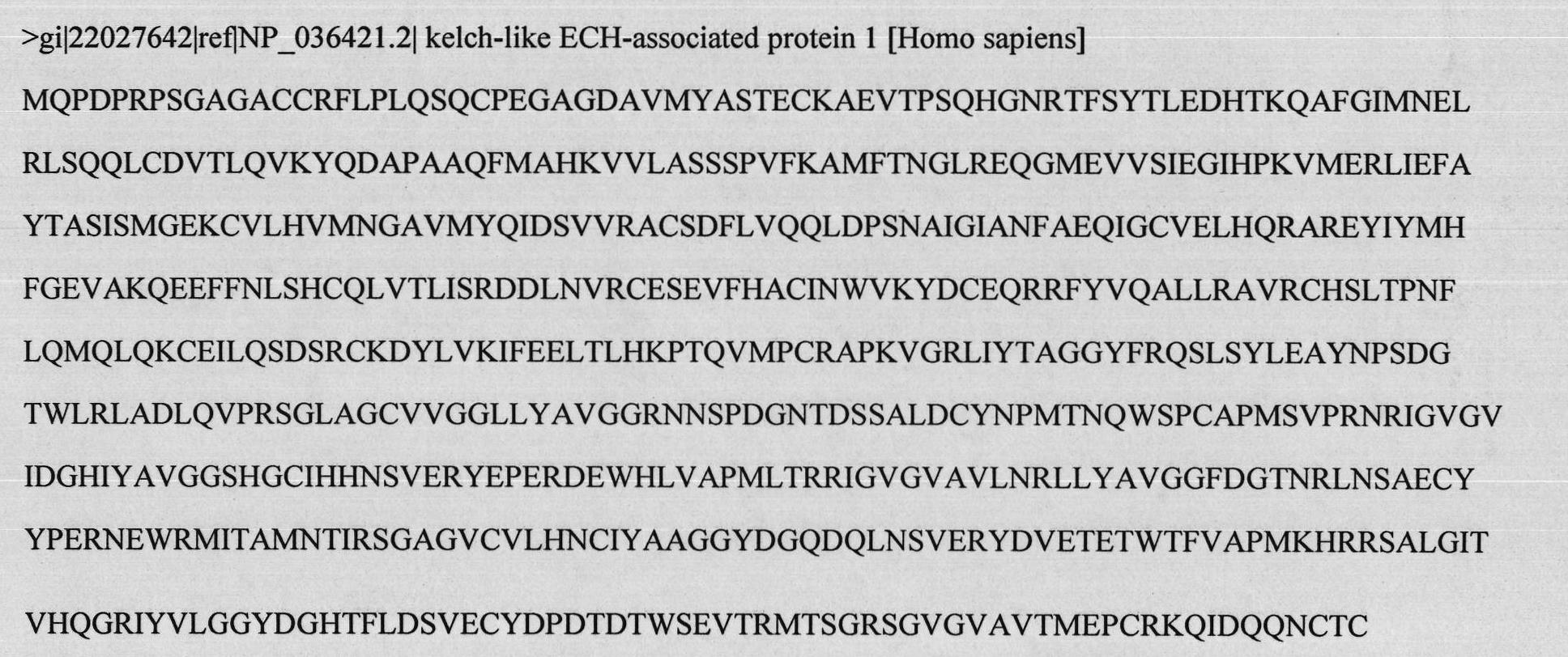 Virtual screening method for novel cancer-preventing or anti-cancer medicament by taking Keap1 as target point