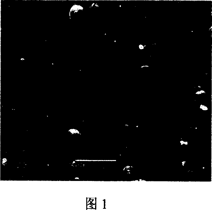 Method for electrodepositing wearable thick chromium coating in trivalency chromium coating solution